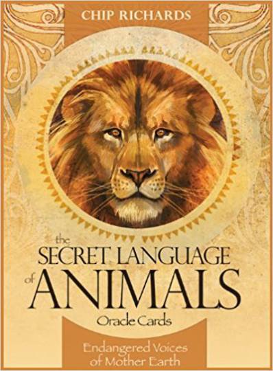 Secret Language of Animals Oracle Cards By Chip Richards